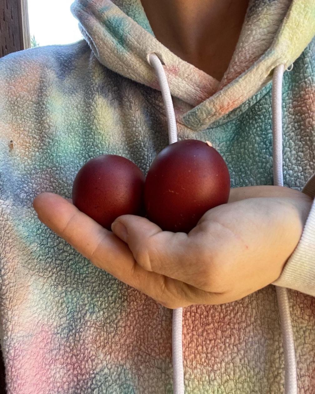 Black Copper Marans