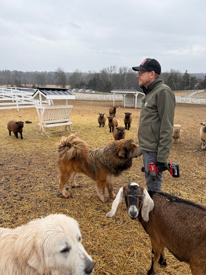 Livestock Guardian Dog Puppies