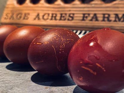 Black Copper Marans